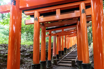 Red Torii gates in Fushimi Inari shrine