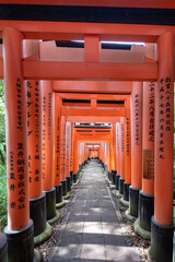 Red Torii gates in Fushimi Inari shrine
