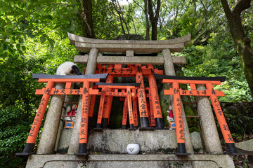 Fototapeta na wymiar Fushimi Inari Taisha