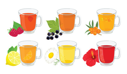 Collection of berry and herbal teas. Sea buckthorn, lemon, black currant, raspberry, chamomile and hibiscus drink in glass cup. Set of vector cartoon illustrations.