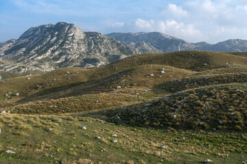 Fototapeta na wymiar Durmitor National Park in Montenegro