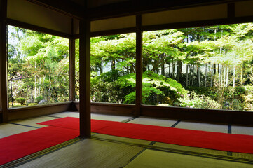 新緑の京都市大原の里 宝泉院の額縁庭園
