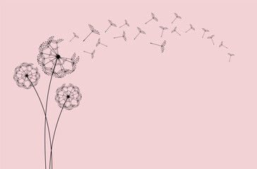 Flying dandelion seeds, vector icon. Vector isolated decoration element from scattered silhouettes.