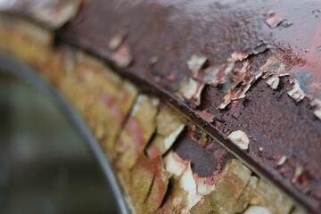 rost rostene autos autofriedhof schrottplatz wald umwelt natur vergänglich 