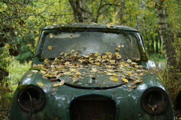 rost rostene autos autofriedhof schrottplatz wald umwelt natur vergänglich 