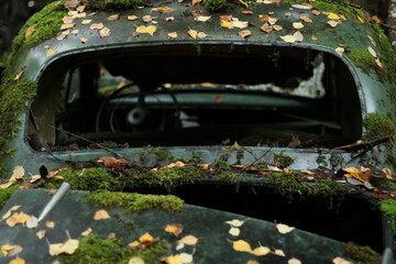 rost rostene autos autofriedhof schrottplatz wald umwelt natur vergänglich 