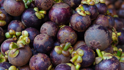 fresh mangosteen in market