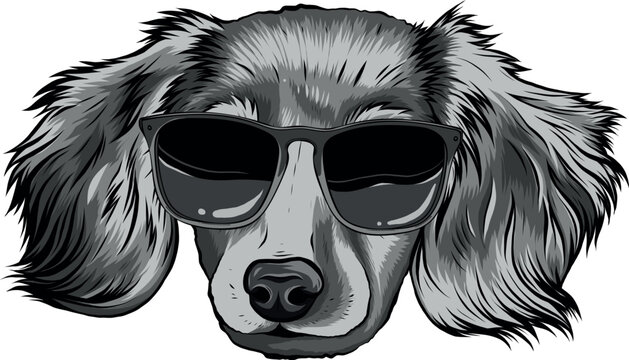 monochromatic Gordon setter dog breed with black sunglasses - isolated vector illustration