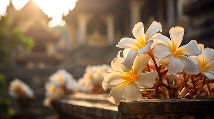 The timeless beauty of white Frangipani flowers gracing a historical temple, bathed in the warm hues of early morning sunlight. Generative Ai - obrazy, fototapety, plakaty