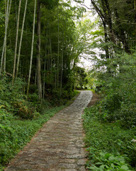Fototapeta na wymiar Walking the cobblestone road following the Nakasendo trail between Tsumago and Magome in Kiso Valley, Japan.