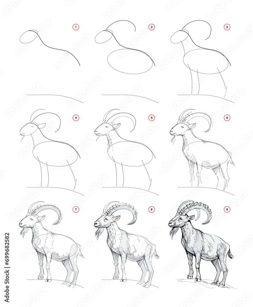 Wall mural page shows how to learn to draw from life sketch a wild mountain goat. pencil drawing lessons. educa