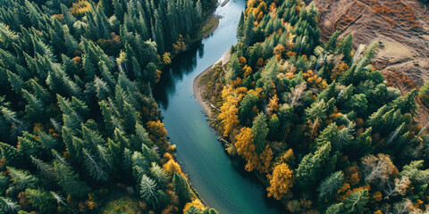 Autumn in forest aerial top view. Blue lake and forest trees. Soft light in countryside woodland or park. Drone shoot above colorful green texture in nature