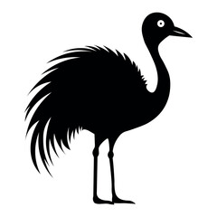 Ostrich black vector icon on white background