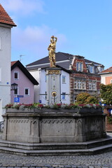 Blick in die Altstadt von Landau an der Isar in Bayern