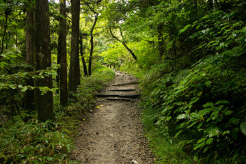 Walking the hiking road following the Nakasendo trail between Tsumago and Magome in Kiso Valley,...