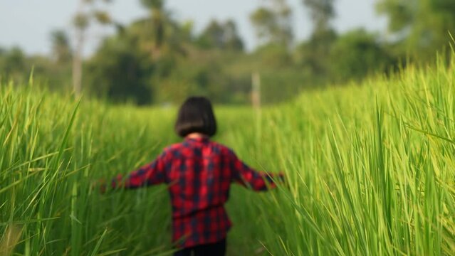 Young Girl in Rice Field: A young girl, lost in a vibrant rice field, explores the endless green landscape, representing the freedom of youth and the beauty of nature.