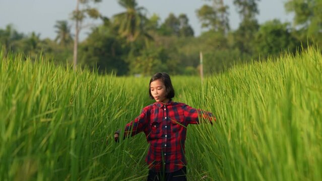 Young Girl in Rice Field: A young girl, lost in a vibrant rice field, explores the endless green landscape, representing the freedom of youth and the beauty of nature.