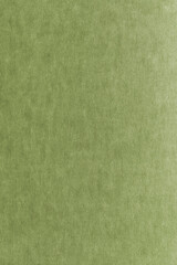 Fototapeta premium green paper texture background