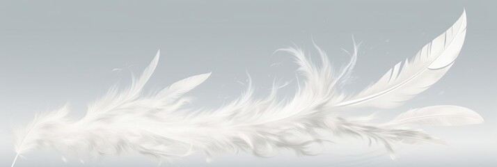 Fototapeta na wymiar Close-up of a white feather on a white background. Single white feather isolated