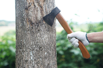 Closeup hand holds wooden handle axe to cut tree. Concept, . Manual tool for carpenter and lumberjack, woodcutter. Weapon. Bring down tree. Destroy forest. Deforestation.                        