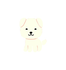 Obraz na płótnie Canvas cute baby puppy , dog