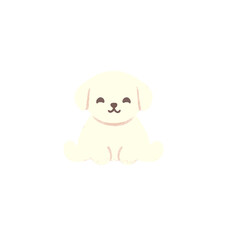 cute baby puppy , dog