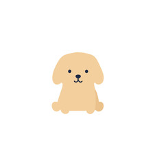 cute baby puppy , dog