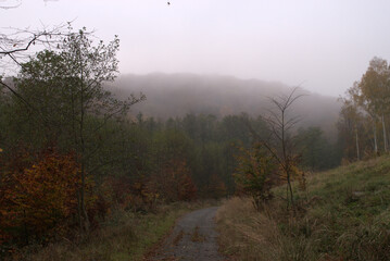 fog in the mountains