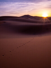 朝日が昇る神秘的なサハラ砂漠の景色