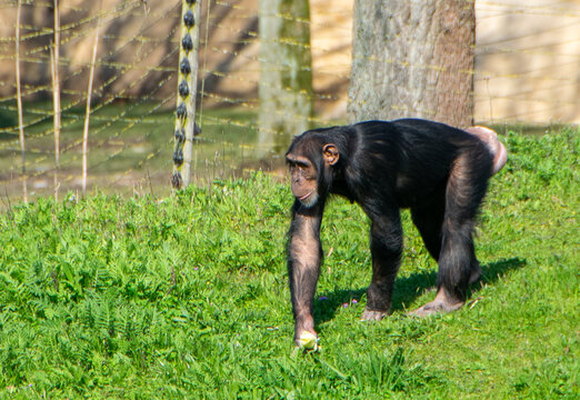 2023-04 Safaripark