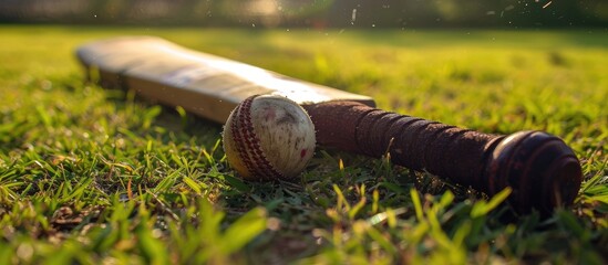 Cricket bat on grass field with a leather ball.
