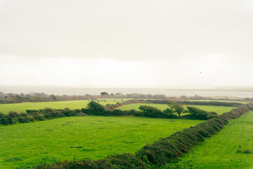 Beautiful landscape typical of the Irish countryside with the sea in the background and milky...
