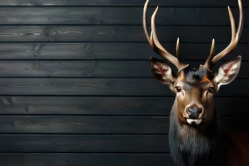Deurstickers stuffed deer head on a dark wooden wall © aninna