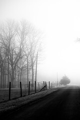 black and white fog photo film