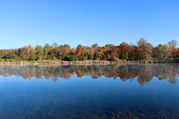 The peaceful lake in the countryside on a sunny day.