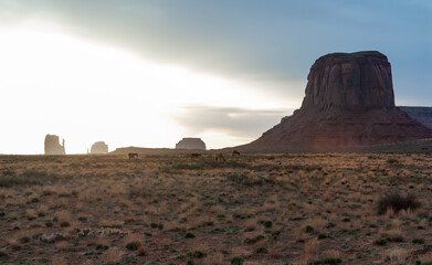 Grazing horses against the backdrop of red sandstone cliffs, Monument Valley, Arizona