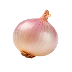 Red and gold onion on png background.