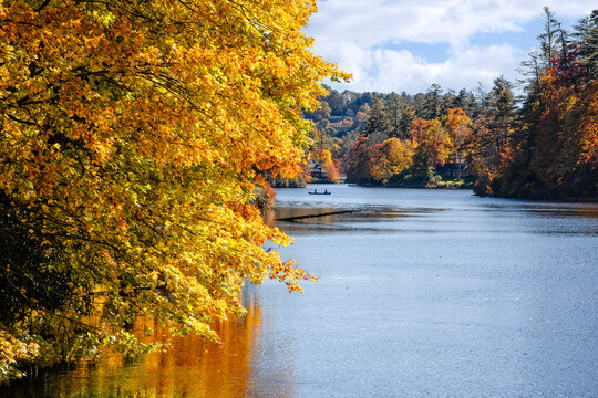 Autumn Color Trees on the Cullasaja River in North Carolina - Powered by Adobe