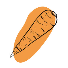 Carrot hand drawn vector doodle illustration. Fresh carrot on orange spot. Simple sketch of vegetable. Vegetarian food.