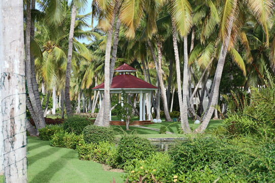 tropical resort wedding