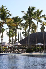 Obraz premium trees and pool