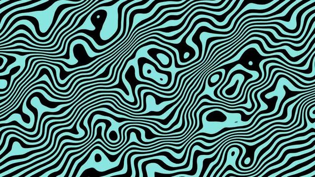 Animated wavy line motion graphic background. Seamless looped Abstract motion graphic, Abstract moving topographic map lines. Moving wavy line striped pattern black color background.