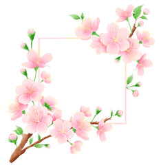 Watercolor hand drawn illustration of Cherry Blossom sakura frames wreaths border spring time pink blooming flowers