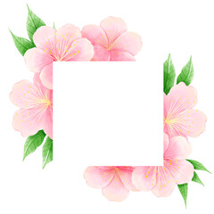 Watercolor hand drawn illustration of Cherry Blossom sakura frames wreaths border spring time pink...