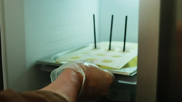 Kitchen worker puts silicone mold with straws and meat pate into fridge. Pate will harden into shape of lollipop on stick