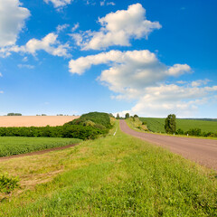 Agricultural fields and blue sky .