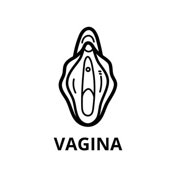 Icon  Female genitals. Vagina. Illustrations vector.