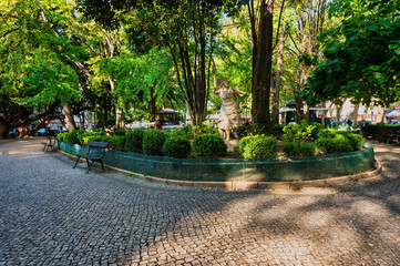 Jardim da Parada in Campo de Ourique, Lisbon. A peaceful urban park with lush greenery, trees, and benches, perfect for relaxation.