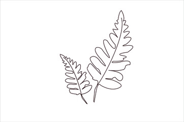 Vector line art drawing or  fern leaf line art , illustration