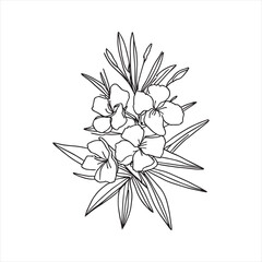 Decorative abstract oleander hand-drawn flower bouquet of line art design. Easy sketch art of Oleander flower outline.
